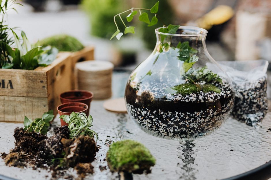 weekend garden & outdoor projects you can actually finish with woven texture — home · Garden & Outdoor