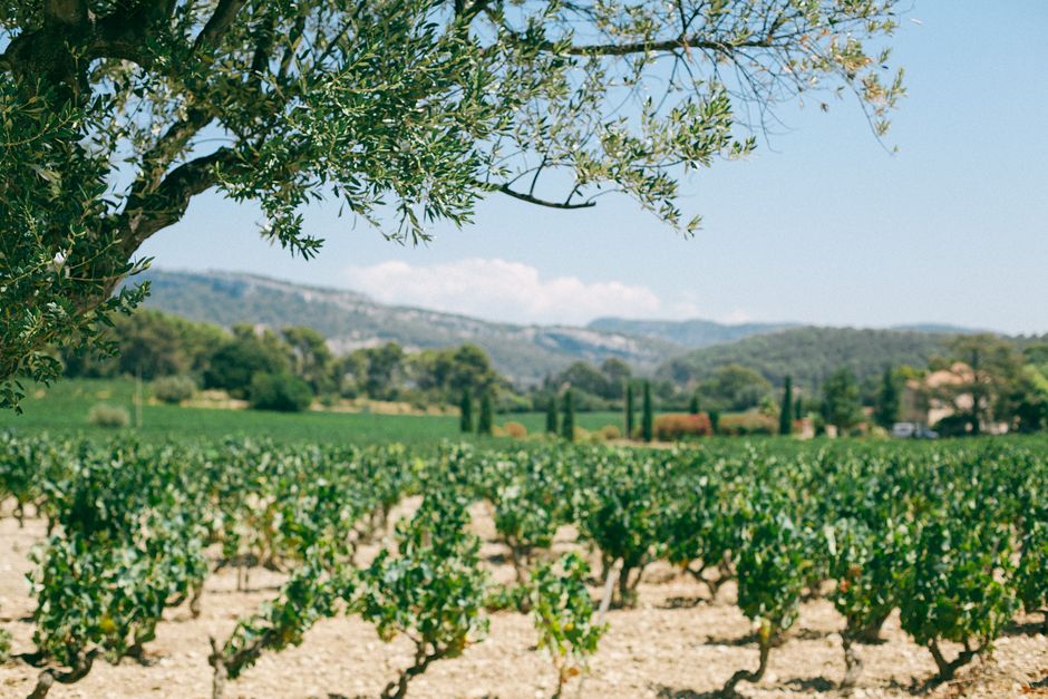 Vineyard Lunch with a sunset finish — travel · Weekend Getaways