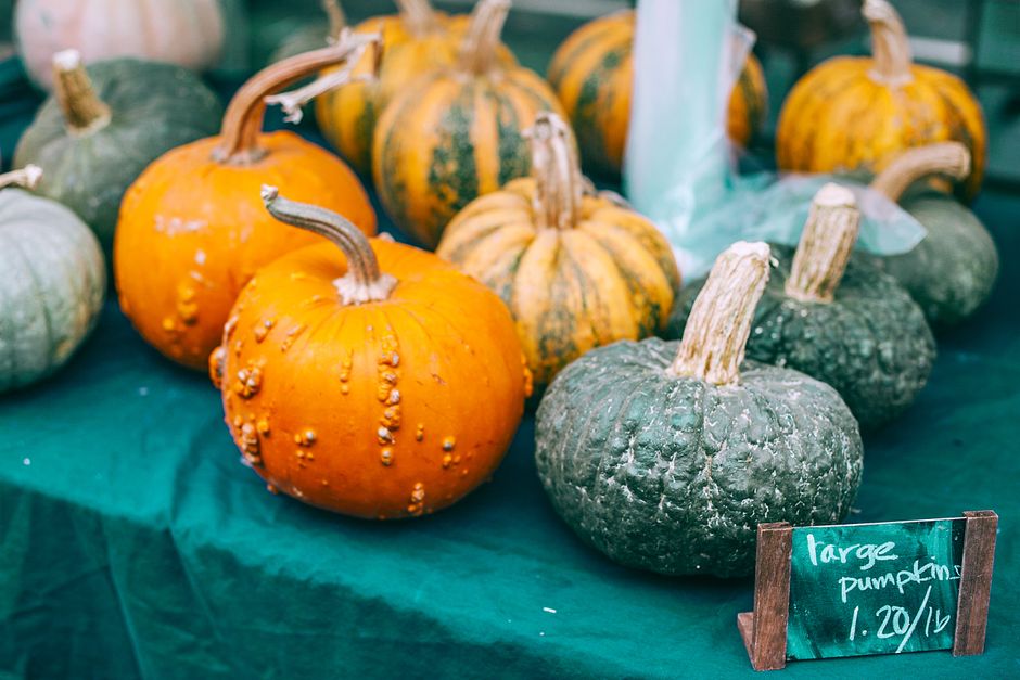 Place-Card Pumpkins around a music-led moment — celebrations · Thanksgiving