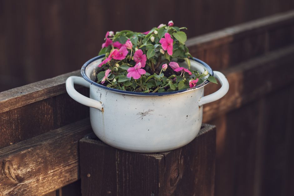 20 Container Garden ideas