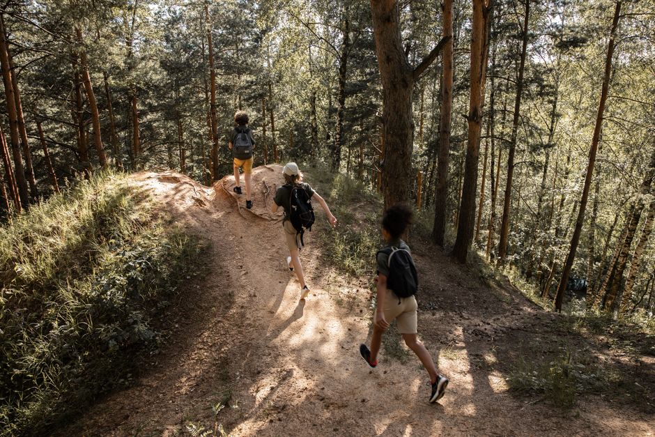 movement walking & outdoor breaks that fit into real schedules after a busy meeting after a busy meeting — wellness · Walking & Outdoor