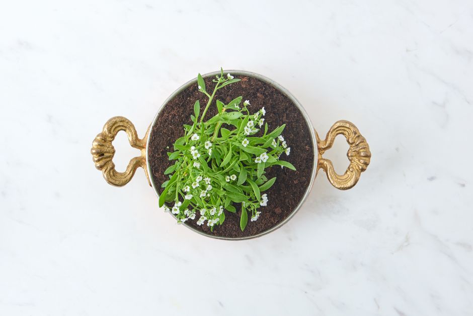 Herb Planter with a space-saving arrangement — home · Garden & Outdoor