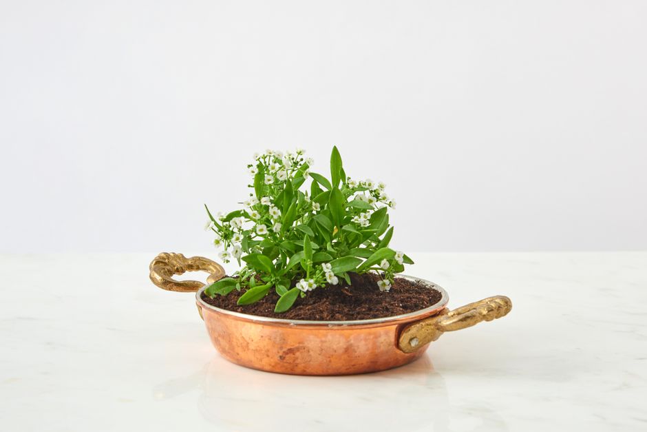 Tin-Can Planter with a watercolor layer — diy-creativity · Upcycling