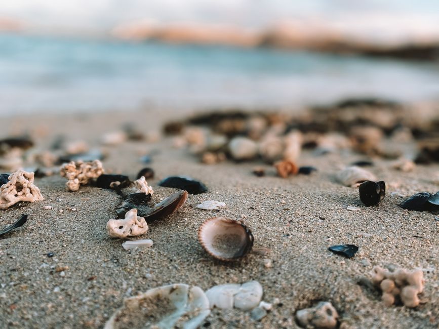 Beach Treasure Walk with a quiet neighborhood stop — travel · Family Travel