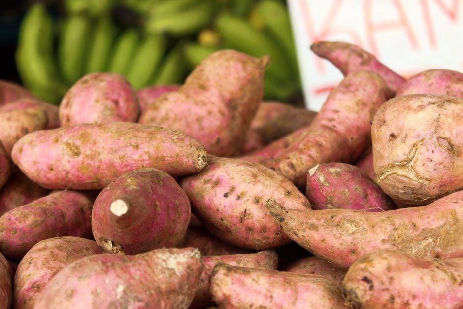 Sweet Potato Rounds for a protein-minded snack — food · Snacks
