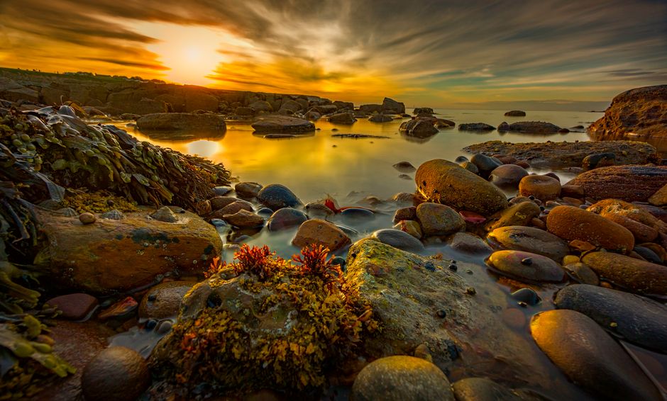 Tide-Pool Morning for a weekend without rushing — travel · Beach Vacations