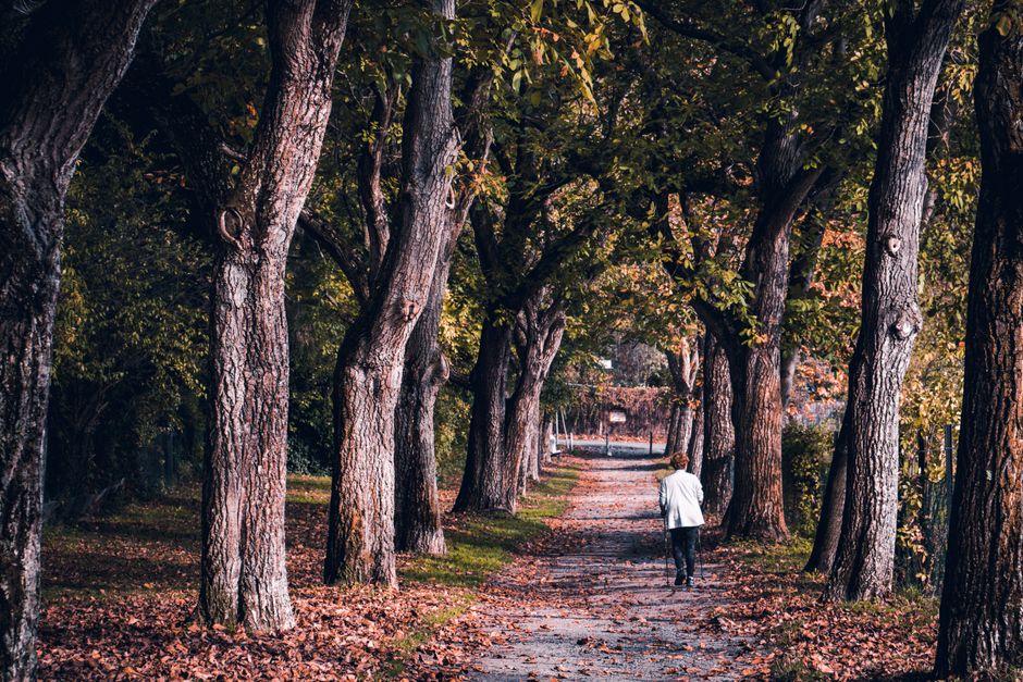 Quiet Walk around a simple personal ritual — lifestyle · Self-Care