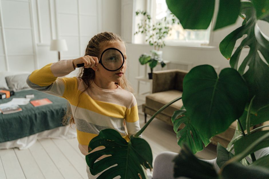 Indoor Treasure Hunt for a no-screen break — entertainment · Family Fun