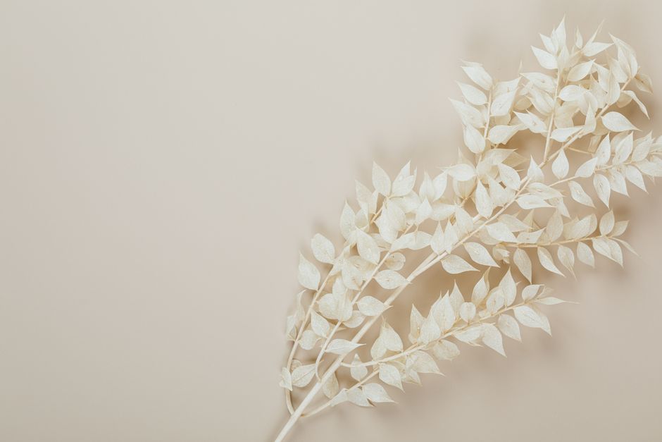 Monochrome Neutrals when you want more laughter — lifestyle · Fashion
