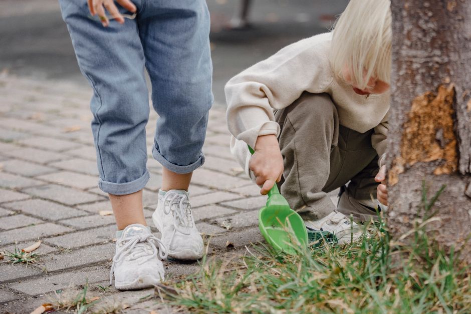 Backyard Nature Hunt around a shared playlist — entertainment · Family Fun