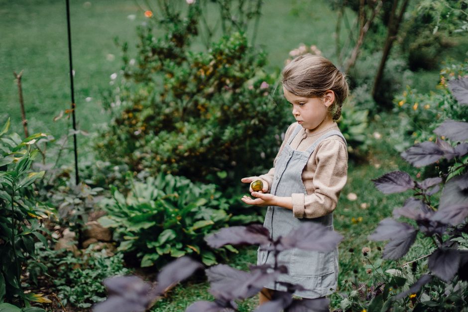 Backyard Nature Hunt with a creative finale — entertainment · Family Fun
