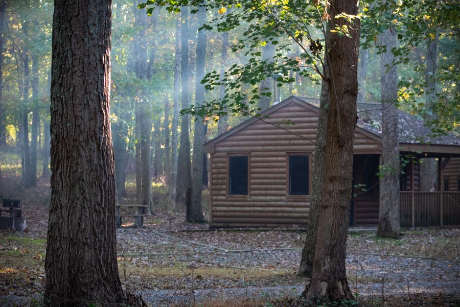Cabin Morning near a public trail — travel · Weekend Getaways