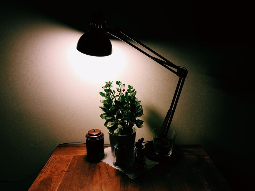 Desk Lamp using an offline fallback — smart-life · Gadgets