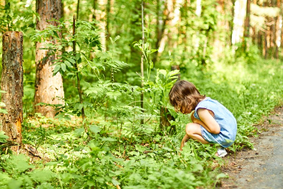 Backyard Nature Hunt for a quiet night in — entertainment · Family Fun