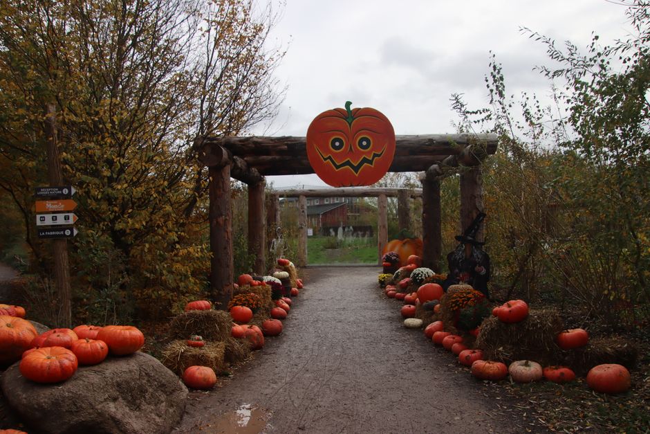 Pumpkin Doorway for a larger guest list — celebrations · Halloween