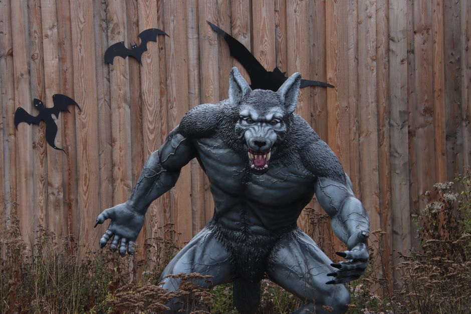 Bat Wall Display for a weather-flexible event — celebrations · Halloween