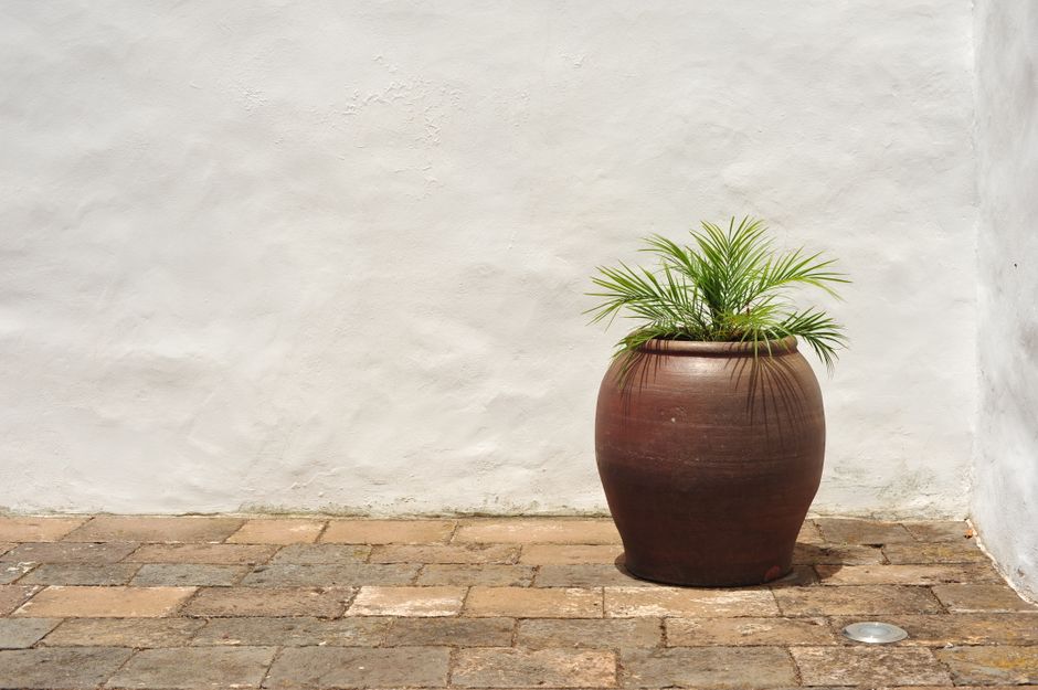 Painted Terracotta Pot using household supplies — diy-creativity · Crafts