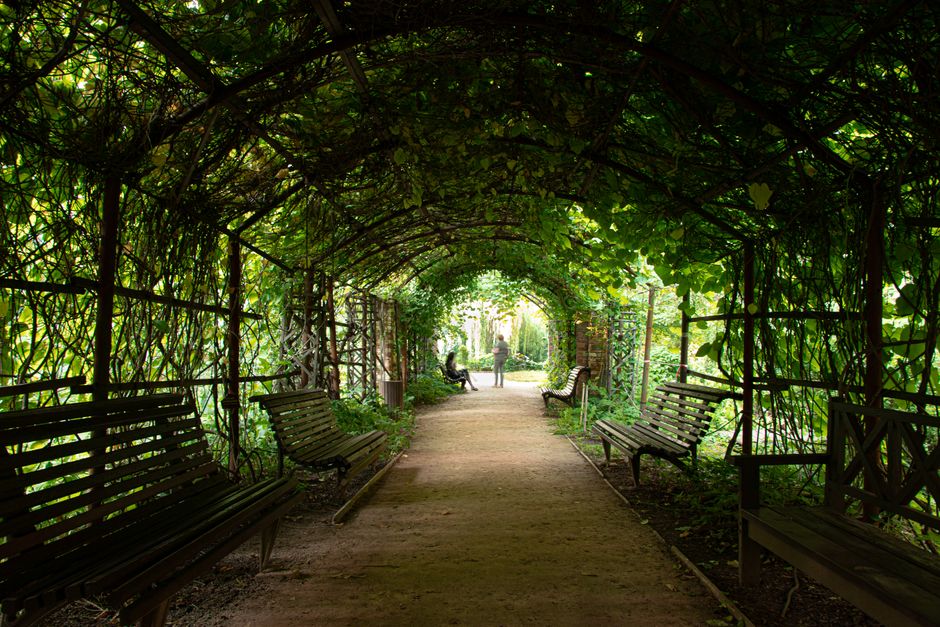 Try A Public Garden near a public trail — travel · Things to Do