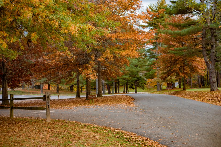Park Loop after a late night after a late night — wellness · Walking & Outdoor