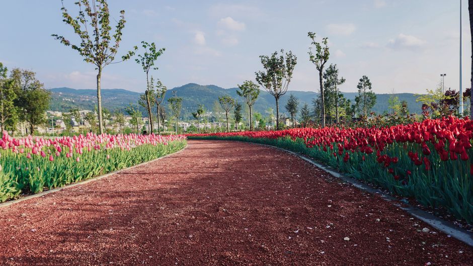 Botanical Garden Path for a beginner routine — wellness · Walking & Outdoor