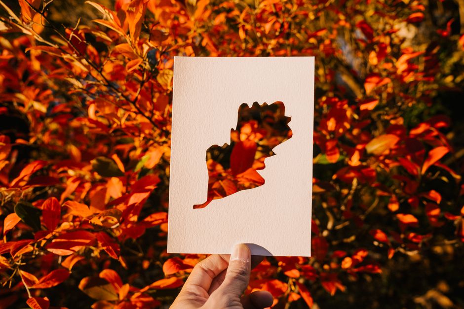 Cut-Paper Portrait for lantern experimenting color — diy-creativity · Paper Crafts
