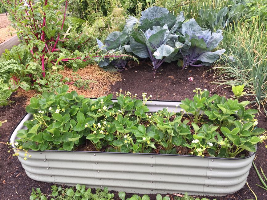 Raised Bed with a quiet hotel-like touch — home · Garden & Outdoor