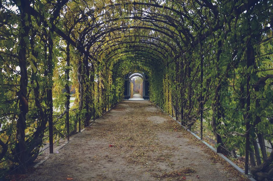 Botanical Garden Path after a demanding week after a demanding week — wellness · Walking & Outdoor