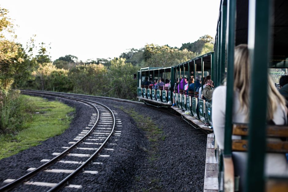 Train Ride for travelers avoiding crowds — travel · Family Travel