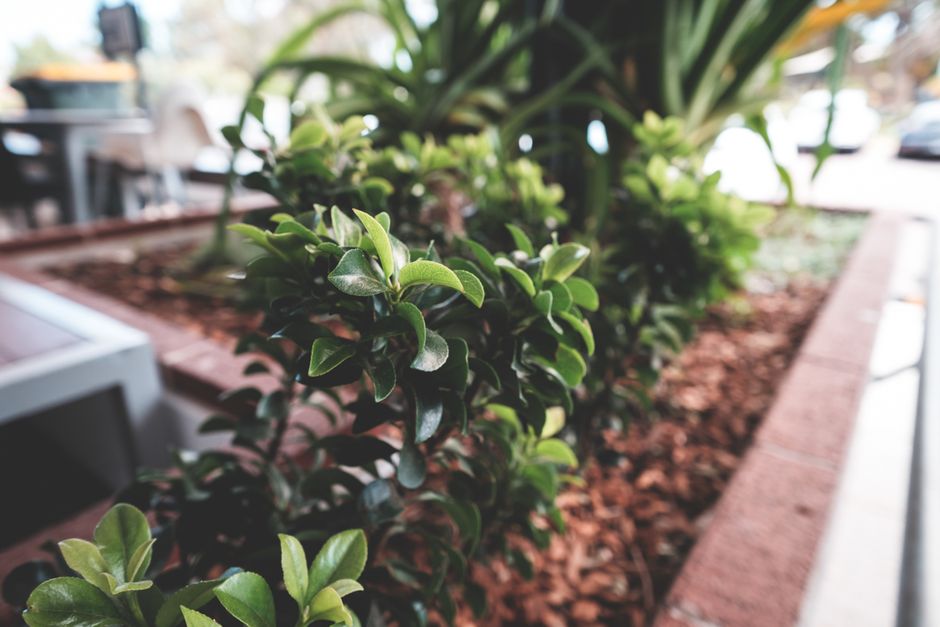 before-and-after garden & outdoor changes worth trying with a vintage-modern mix — home · Garden & Outdoor