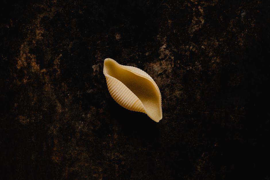 Shell Photography with a short walking route — travel · Beach Vacations