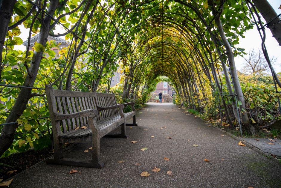 22 Garden Bench ideas