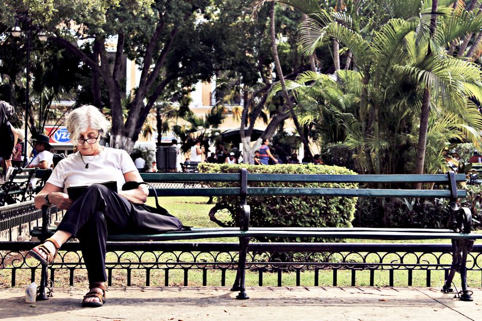 Park Bench Reading Stop with a flexible return route — travel · Solo Travel