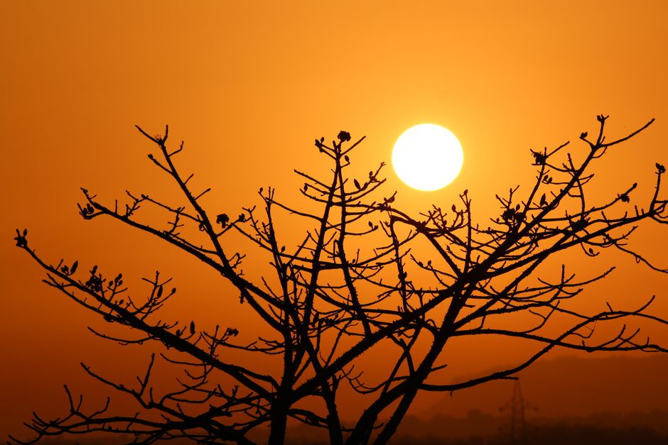 Golden-Hour Silhouette with a simple stencil — diy-creativity · Photography