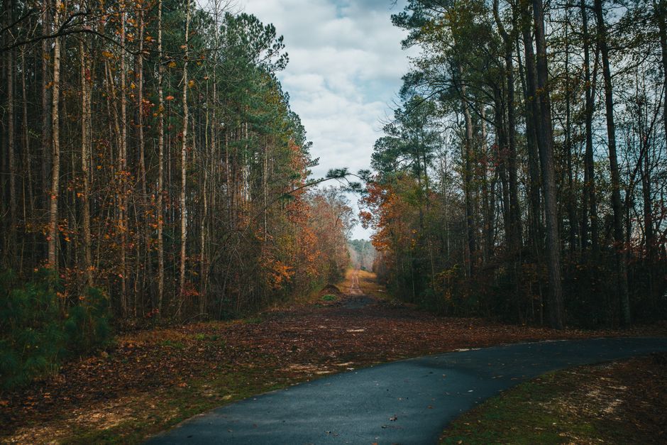Park Loop after a social event after a social event — wellness · Walking & Outdoor