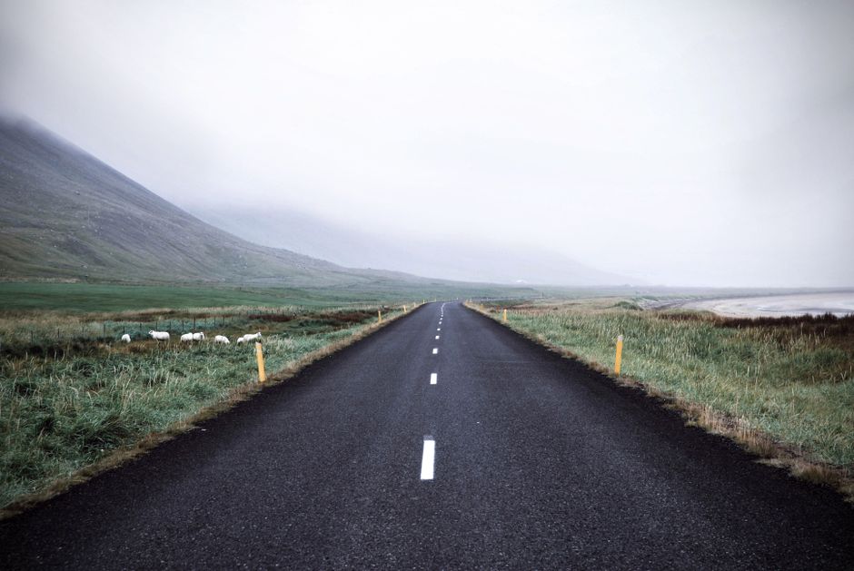 Road-Trip Singalong around a quick team challenge — entertainment · Music