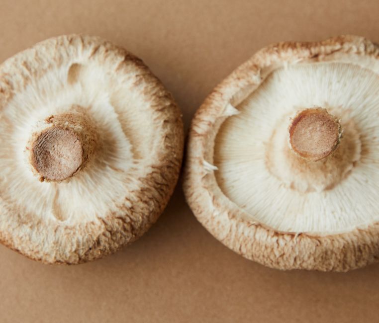 22 Stuffed Mushrooms ideas
