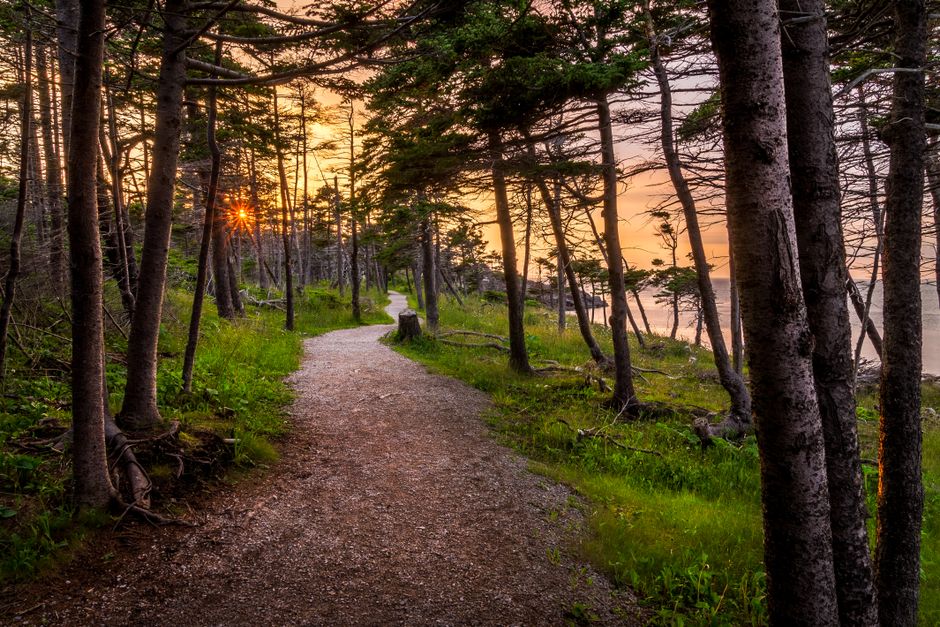 Park Loop for a slower morning — wellness · Walking & Outdoor