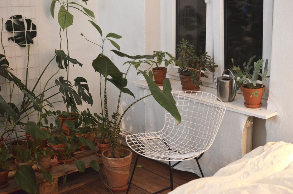 renter-friendly garden & outdoor details that look intentional with a practical focal point — home · Garden & Outdoor