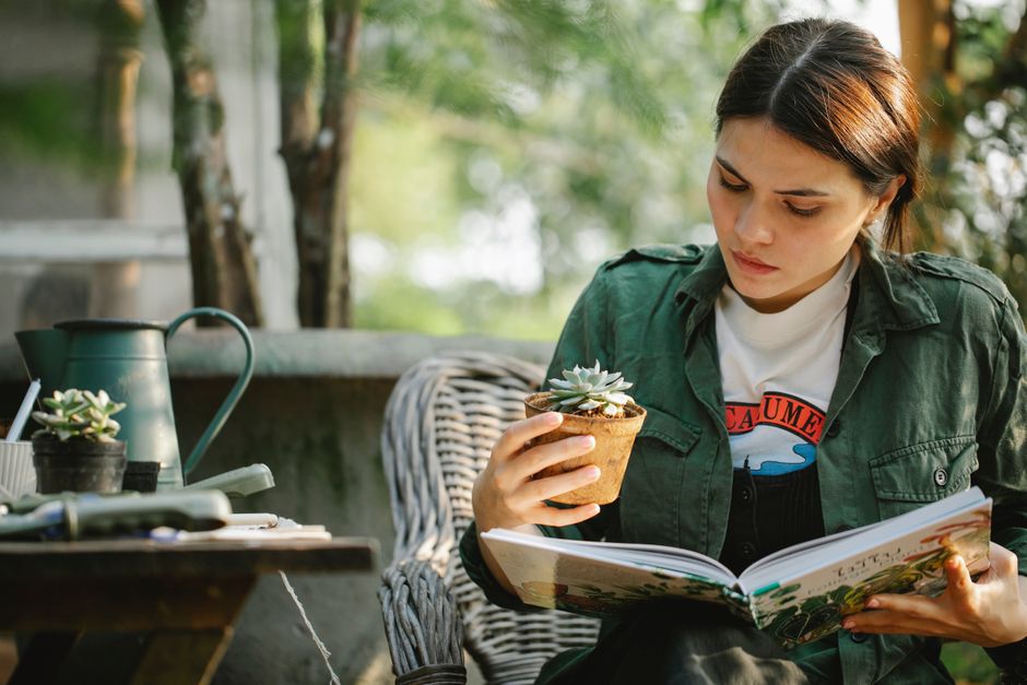 weekend garden & outdoor projects you can actually finish with a useful styling trick — home · Garden & Outdoor