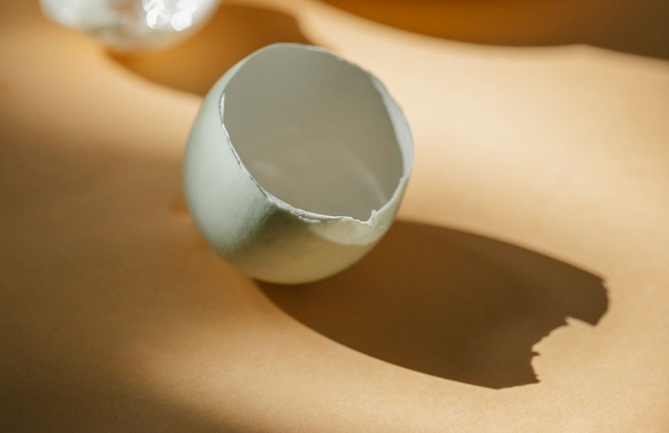 Eggshell seed pots