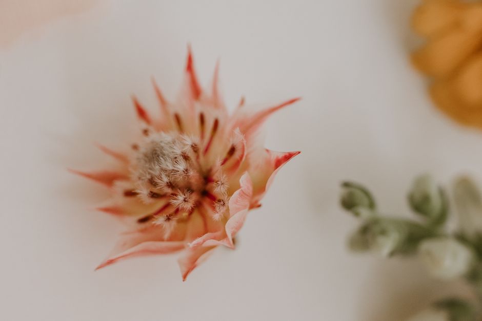 Quilled Botanical with a gallery-worthy finish — diy-creativity · Paper Crafts