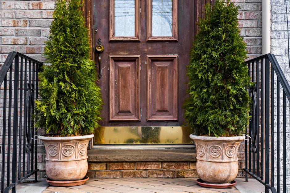 20 Front-Door Greenery ideas for a signature celebration detail