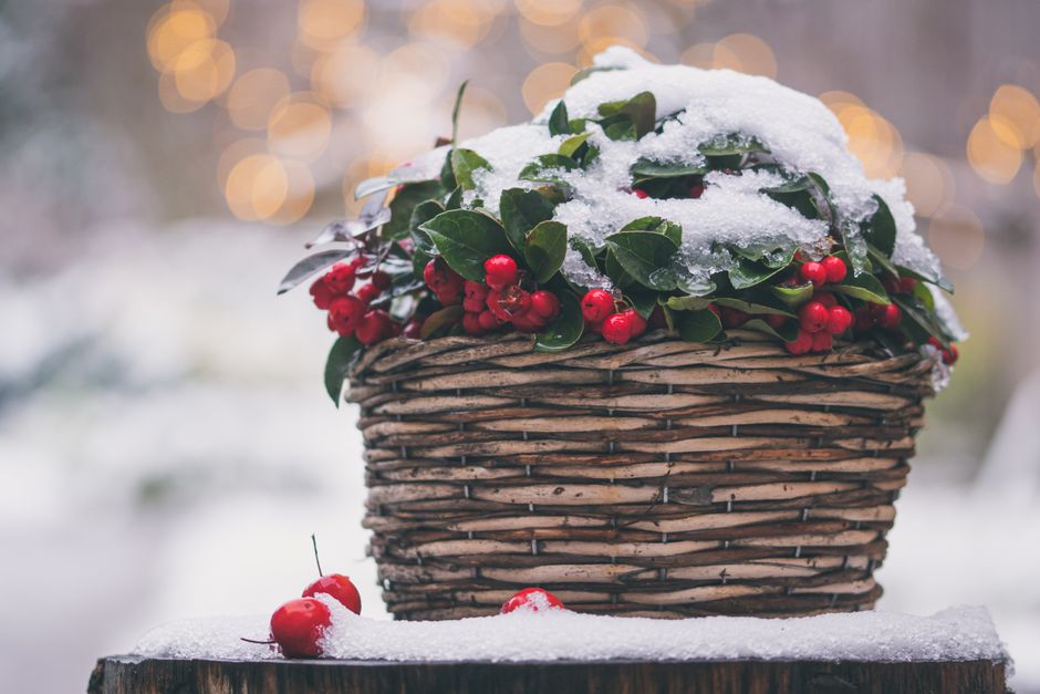 Holiday Movie Basket for a relaxed brunch — celebrations · Christmas