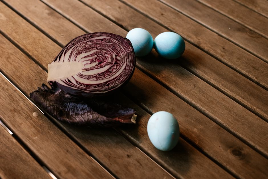 Red cabbage blue eggs