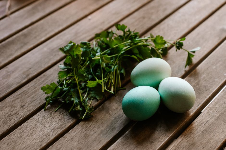 Herbed Egg Muffins for a brunch buffet — food · Breakfast & Brunch