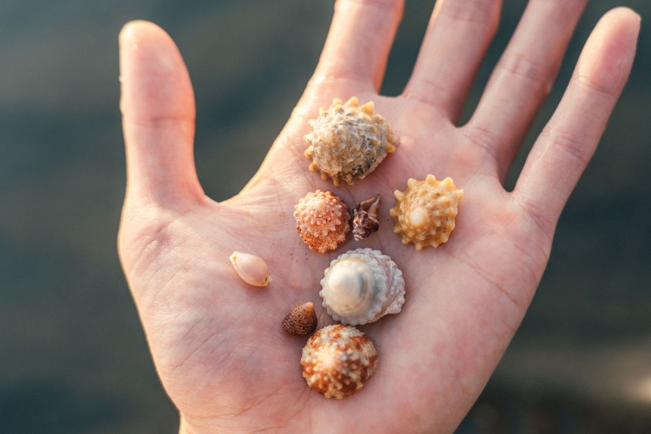 Beach Treasure Walk with a flexible return route — travel · Family Travel