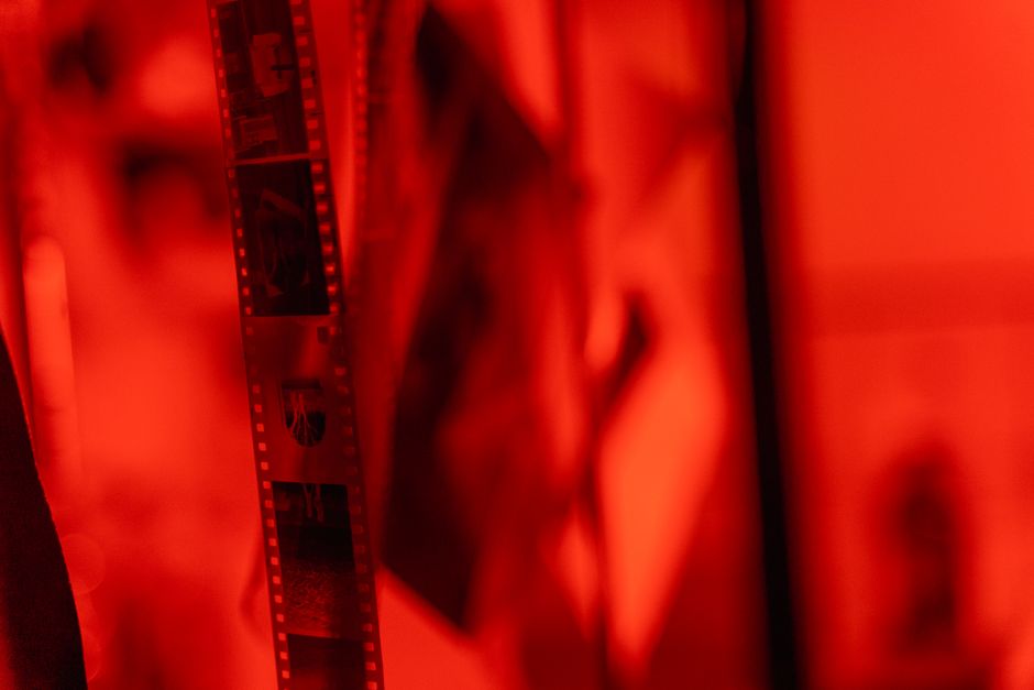 Short-Film Sampler for a holiday weekend — entertainment · Movie Nights