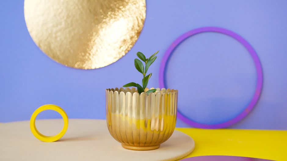 Tin-Can Planter with a hand-lettered element — diy-creativity · Upcycling