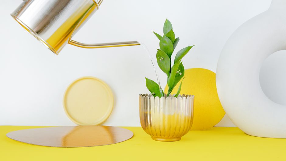 30 Tin-Can Planter ideas