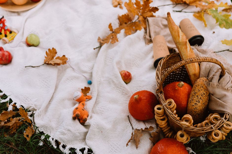 Park Picnic for a screen-light evening — lifestyle · Dating